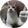 ZODI